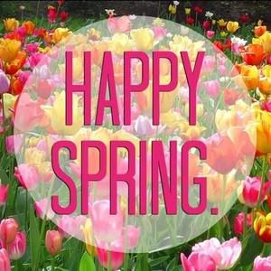 Meet your Posher, Deb